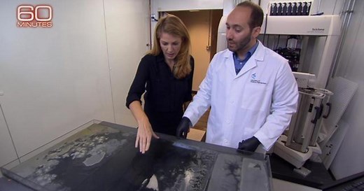 What does antibiotic resistance look like? Watch this experiment.