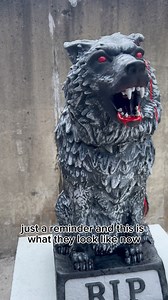 104K views · 831 reactions | These two rehauled wolves from Big Lots turned out amazing! Who would have thought Big Lots would have added such a cool new dimension to this year’s display 路‍♂️ | Wilkes Family Halloween Displays | Facebook