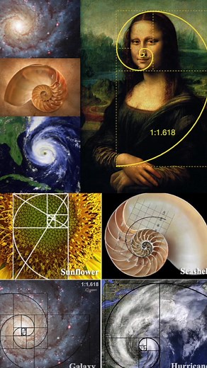 Orgonite (Orgone Generator) explained by an 84-year-old artist. #orgonite #orgone #orgoneenergy #orgonepyramid #orgonegenerator #orgonites #ascensiontools #reinhardstanjek