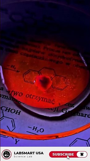 How to science experiment video | LabSmart USA