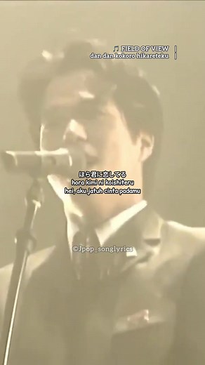 Field of View - Dan Dan Kokoro Hikareteku