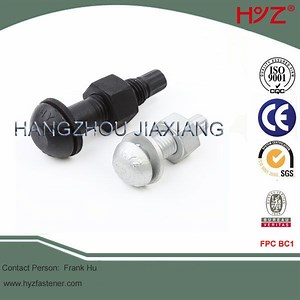 [Hot Item] Steel Structural Tension Control Bolt A490 Tc Assembled