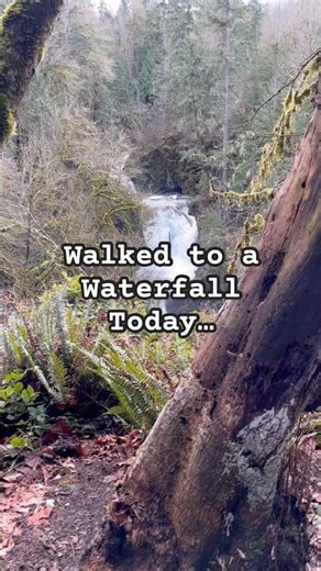 Waterfall walk geocache find! #geocaching #vancouverisland #nature #waterfall #canada