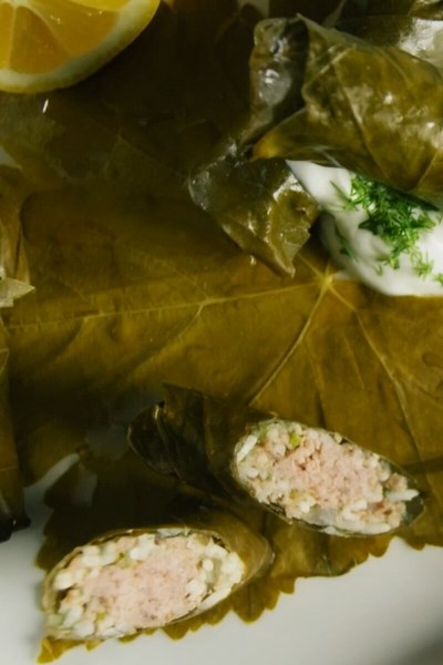 Homemade Greek dolmades with beef, rice, and fresh herbs