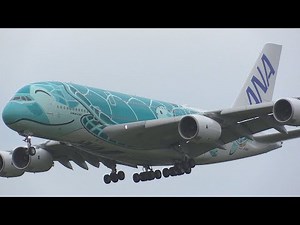 全日空のフライングホヌ (空飛ぶウミガメ A380) 静かにふんわり遊覧飛行 / ANA A380-800 FLYING HONU #2 in Sightseeing Flight with ATC