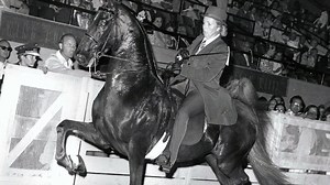 Looking Back on the Careers of Donna and Tom Moore