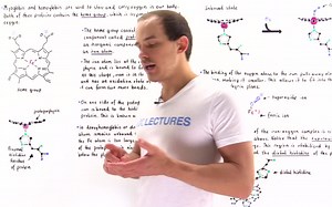 Andrey K - Biochemistry - Hemoglobin and Myoglobin