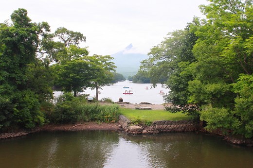 コレが大沼公園の楽しみ方! 「島めぐり」 「遊覧船」で自然と触れ合う
