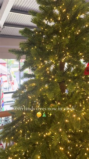 Introducing our brand new Everlands trees! We are so excited to announce that we now stock these trees from 5ft to 10ft! Come in store to find the perfect one for your home🎄❤️