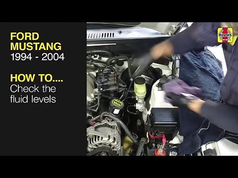 Ford Mustang (1994 - 2004) - Check the fluid levels
