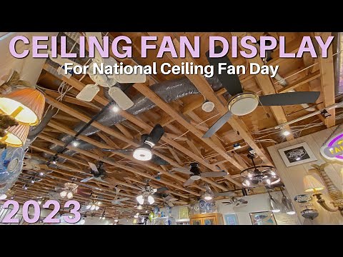 Ceiling Fan Display 2023 | #NCFD