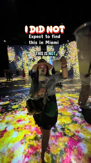 Miami's Unexpected Superblue Art Experience