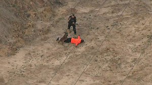 Dog takes down suspect after police chase in Houston