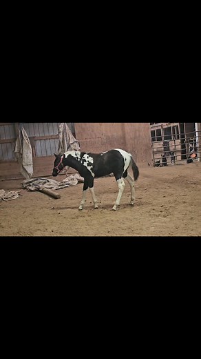 Jill Johnston Yoder on Reels