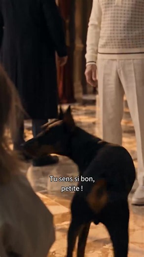 La Fille du Parrain Comprend le Langage des Animaux | Animal Communication
