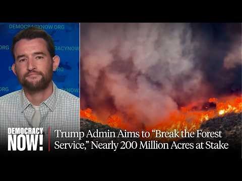 Trump Admin Aims to "Break the Forest Service," Nearly 200 Million Acres at Stake