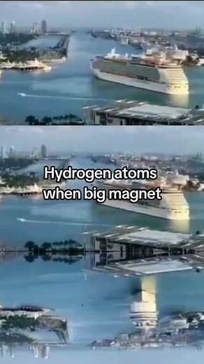 Radiography Meme on TikTok