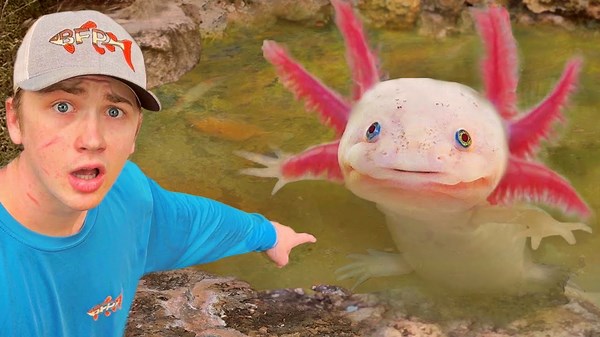 Abandoned Pond Exploration Leads to Shocking Axolotl Find