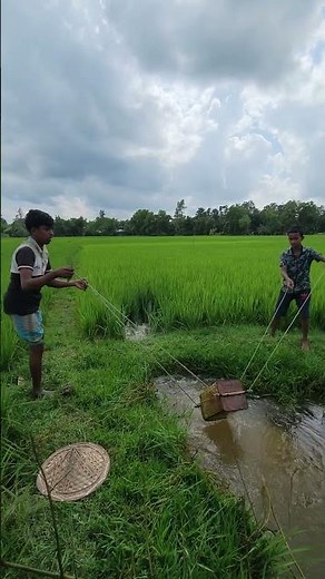 "Unbelievable! Kids Watering the Field Without Any Machine 💧 #USA #UnitedStates"