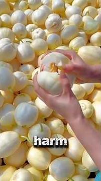 5 Fruits That Are Harmful if eaten the wrong way