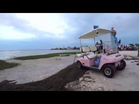 The Wind Ceremony - Swami & The Festoons