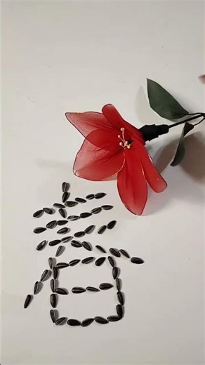 Awakening of Spring: Blossoms Unveiled