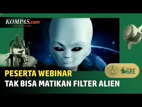 Viral Unggahan Tak Bisa Matikan Filter Alien Saat Zoom Meeting