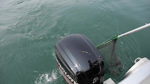 12K views · 239 reactions | Did you miss Superior Angling Co episode that aired on WDIO Sunday? Don't worry, you can watch it below! Thank you to Superior Angling Co for spending the day with us on Lake Superior and featuring our 'Get Hooked on Fishing' program. We had a blast and the video turned out awesome! For more information on the program, go here: https://duluthmn.gov/police/community-policing/get-hooked-on-fishing/ | Duluth Police Department | Facebook