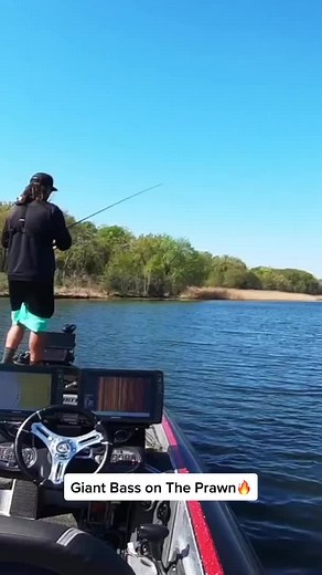 Ben Milliken with a GIANT bass that he caught on a recent trip using the Prawn 4.2! #6thsense #6thsensefishing #fishing #outdoors #lake #bassfishing #fishinglife