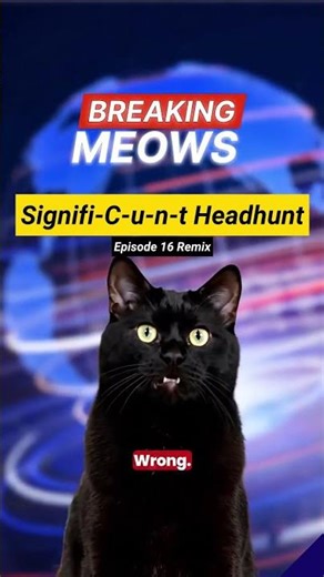 🚨Know anyone? Breaking Meows / Episode 16 is live #cathumor #catjokes #funnycatvideos