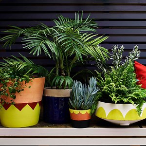 Flower pot painting ideas – how to paint terracotta pots to brighten gardens