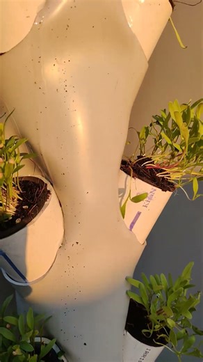 Simple and Low Cost Aeroponic Grow Tower #gardening #vegetable #urbangardening #rooftopgardening