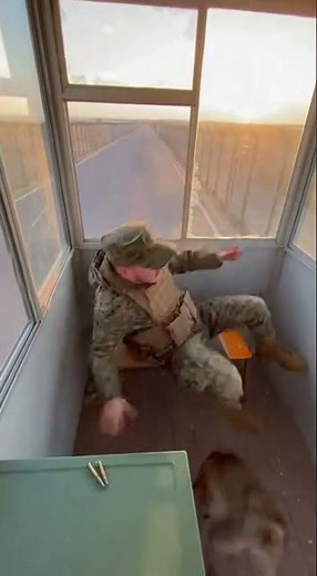 Will a Monkey be able to Steal a Machine Gun?