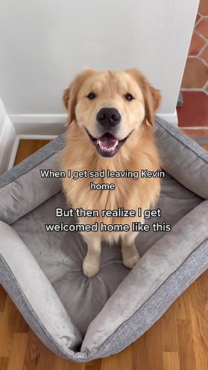 I love his welcome home song 🥺