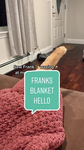 Frank and Cole on TikTok