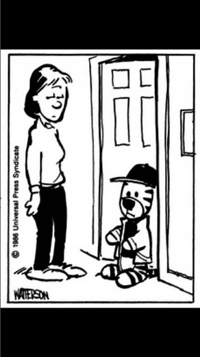 #66 Calvin and Hobbes