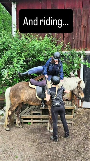 I went Icelandic horseback riding in a Norwegian forest! Wow!