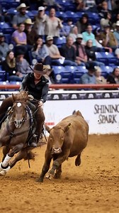 15K views · 488 reactions | What a show! I’m still smiling after an...