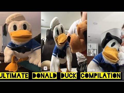 Ultimate Donald Duck youtube shorts compilation