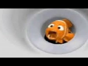 Nemo Goes Down the Drain On Slow Speed