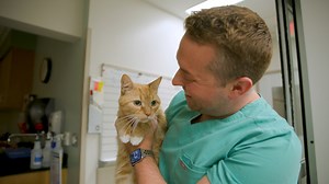 2.5K views · 41 reactions | ADVANCING FELINE HEALTH. Hypertrophic...