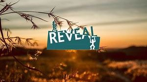 Tools and guides: Reveal toolkit