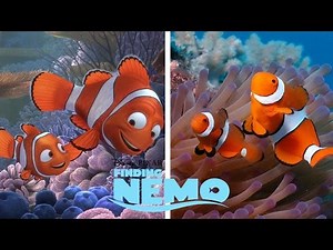 Disney Finding Nemo Characters in Real Life