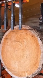 Turning a MASSIVE Log Into Lumber #sawmill #sawmilling #lumber #homemadelumber | Out of the Woods Forestry