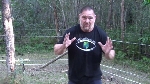 Did my electric fence fail? Possum outsmarts predator protection for chickens!