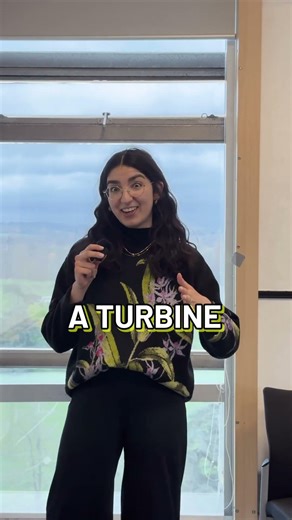 The hidden problem with wind farms 🌬️ | #SpotlightIE
