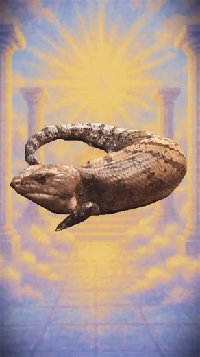 Ekzentriko | Pt. 12 of “Making your pets or pfps into ps1 style wallpapers for monies” - REVEREND CATTAIL If you want a commission of your pet or... | Instagram