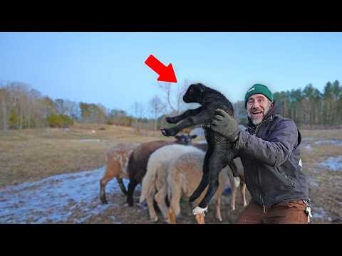 Winter Storm Brings us a Baby