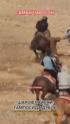 САМАН ЧАВОГОН ТАМПОДА ДУБЛЬ#рекомендация #rek #kupkari#uloq#