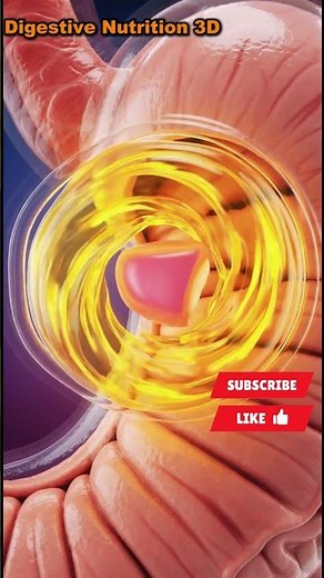 Chewing Gum Journey Inside Your Body | Benefits & Side Effects Explained